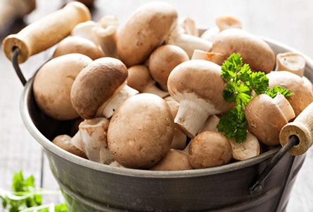 福建成發(fā)農(nóng)業(yè)開(kāi)發(fā)有限公司-菇脆片|食用菌脆片|鄭店|成發(fā)農(nóng)業(yè)|成發(fā)杏鮑菇|秀珍菇|鮑魚(yú)菇|大杯蕈|金福菇|白背毛木耳|蘑菇等保鮮|干品|鹽漬產(chǎn)品|各種菌棒|漳州南靖成發(fā)食用菌