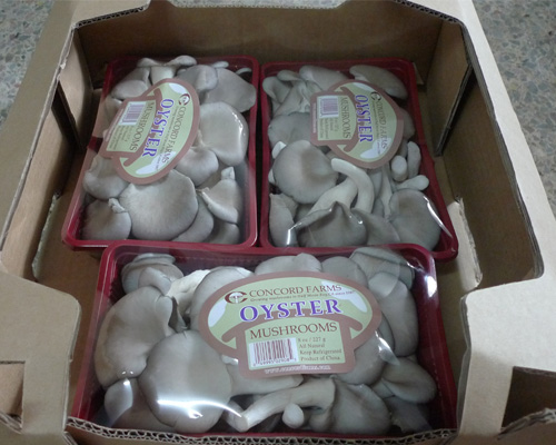 盒裝平菇