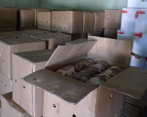 出口型香菇菌包包裝規(guī)格：長45寬32